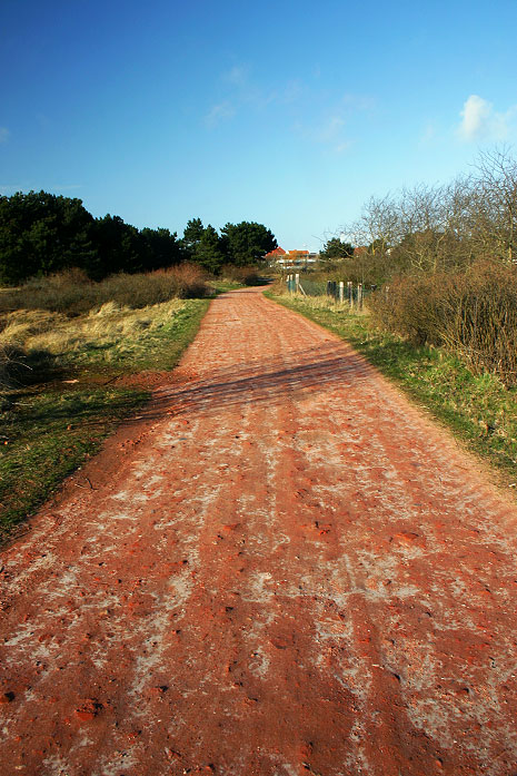 Weg vom Erlengrund zum Teichgarten