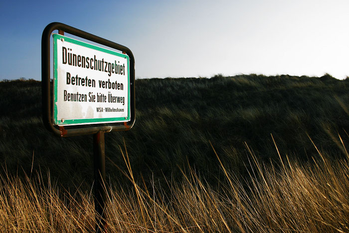Ostdünen vom Strand aus gesehen