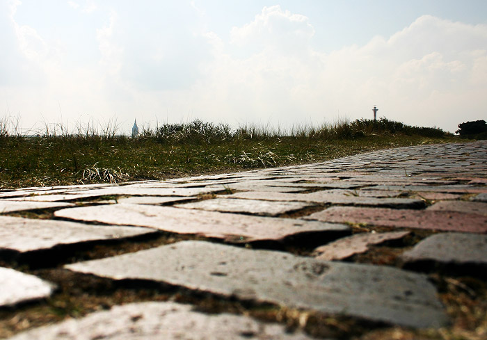 Fu&szlig;weg zum Westen aus der Kriechtierperspektive