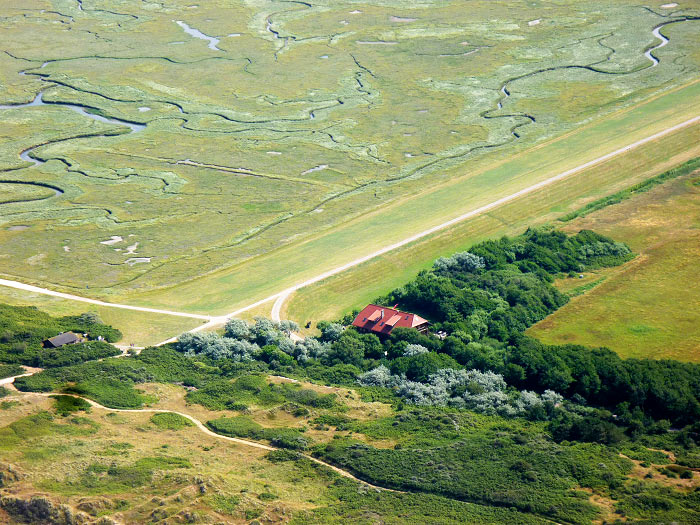 Ostgroden mit Café Neudeich