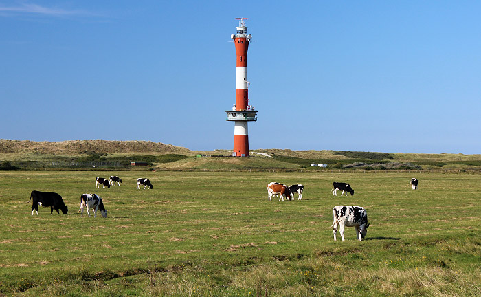 Westgroden mit Neuem Leuchtturm