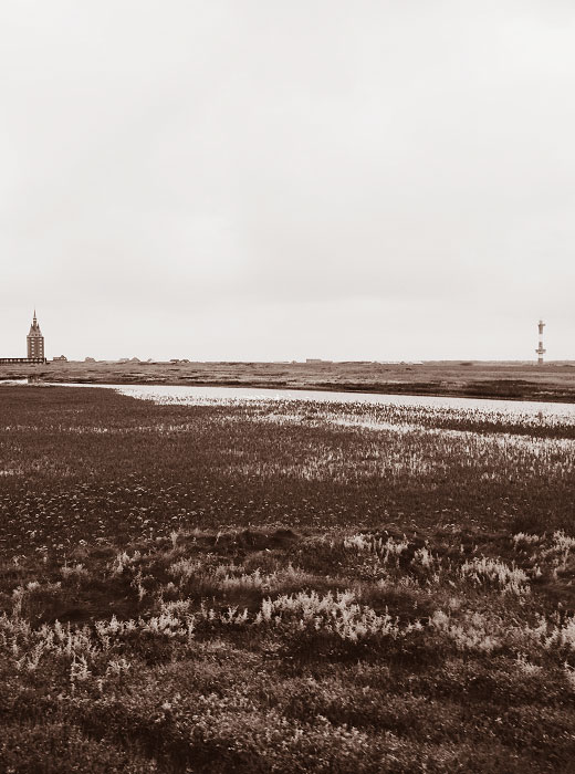 Westau&szlig;engroden vom Zug aus gesehen