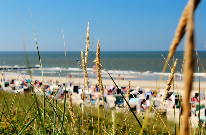 D&uuml;nen oberhalb des Hauptstrandes