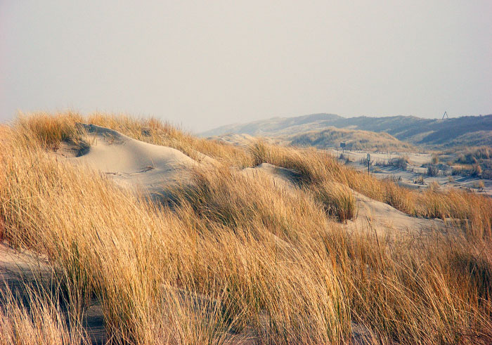 In den Ostd&uuml;nen