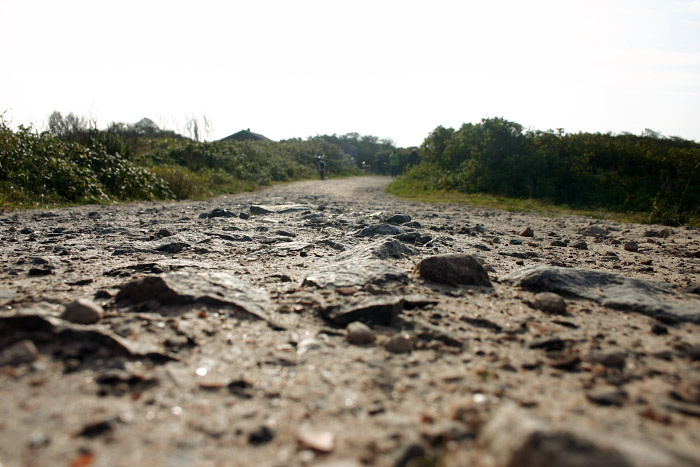 &Uuml;berwegung Neudeich
