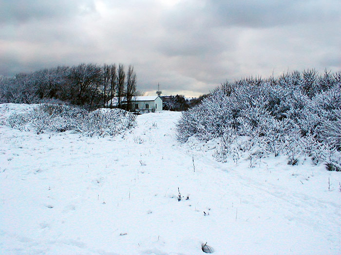 Verschneiter Erlengrund