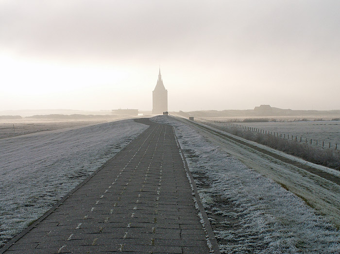 Rauhreif auf dem Deich