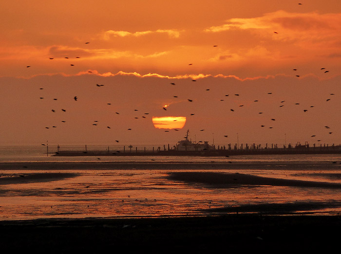Westanleger mit untergehender Sonne