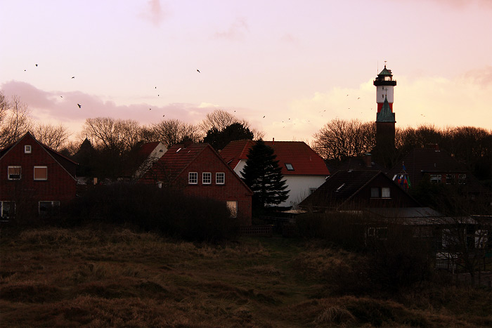 D&uuml;nen bei der Siedlerstra&szlig;e