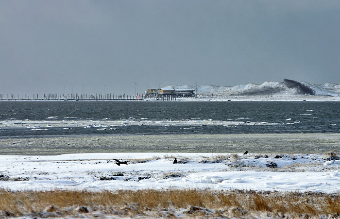 Salinebucht und Westanleger