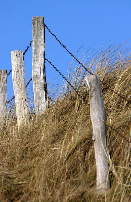 Zaun an der &Uuml;berwegung