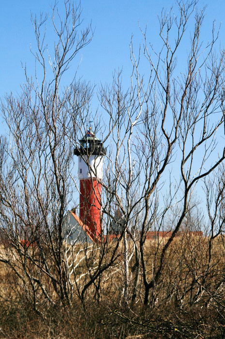 Osterd&uuml;nen im Fr&uuml;hjahr