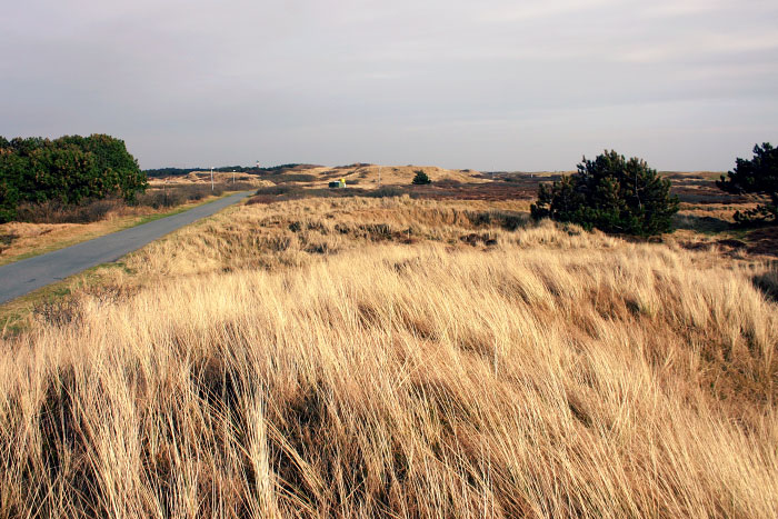 D&uuml;nenlandschaft und Stra&szlig;e zum Westen