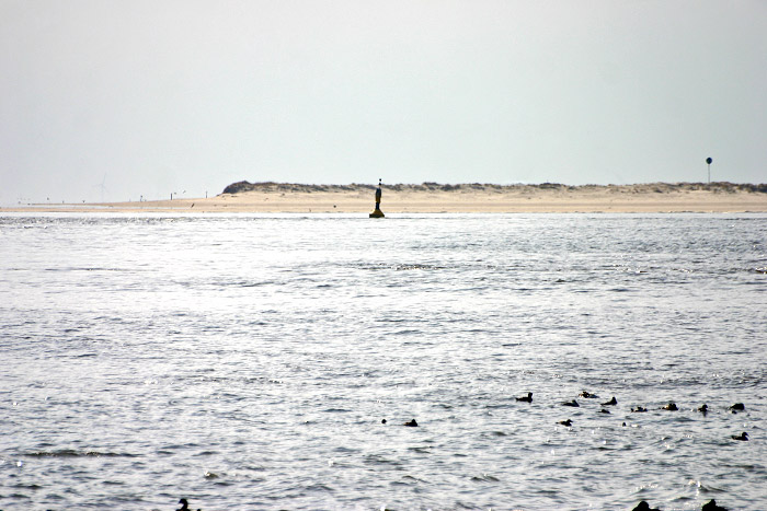 Spiekerooger Ostplate mit Ostbake