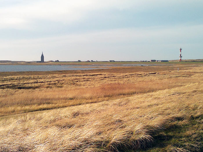S&uuml;ddeich mit Deichvorland