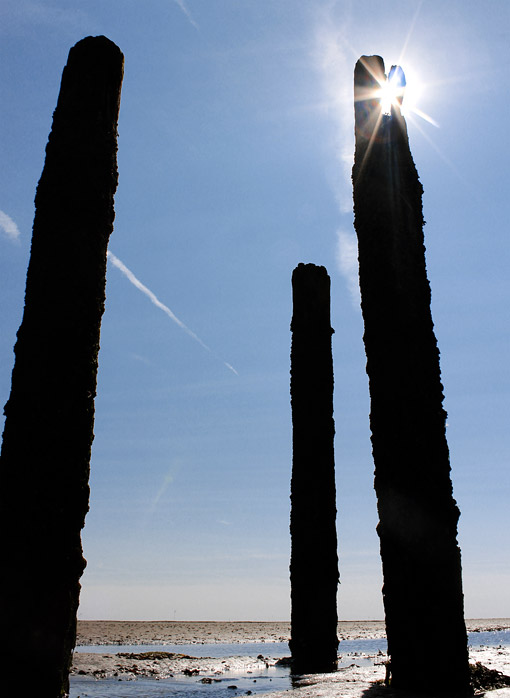 Pf&auml;hle im Gegenlicht