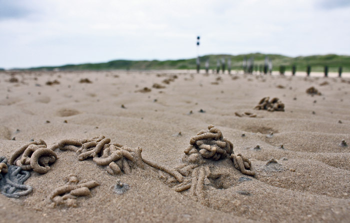 Wattwurm-Hinterlassenschaften