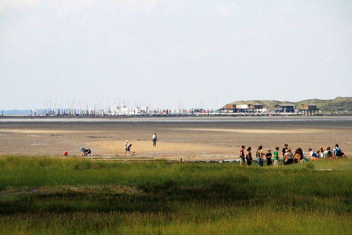 Watt und Westanleger vom Deich aus gesehen