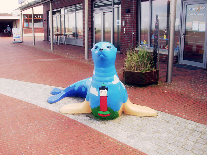 Seehund auf dem Platz am Meer
