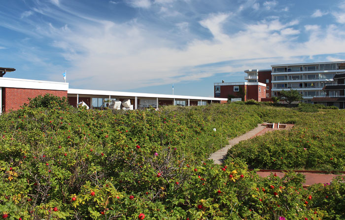 Cobigolf-Platz und Liegeterrasse