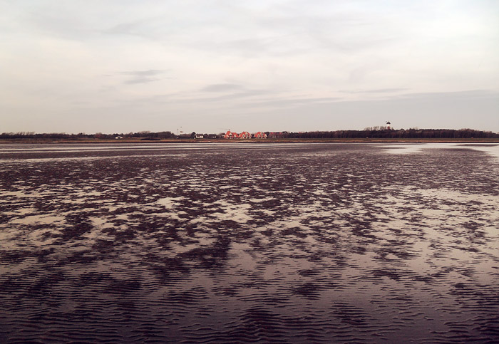 Inselwatt s&uuml;dlich des Georgspads