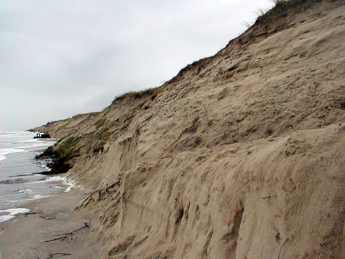 Frische Abbruchkante w&auml;hrend einer Sturmflut
