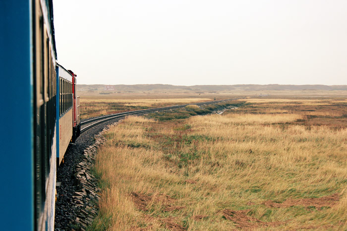 Bahnfahrt durch die Salzwiesen