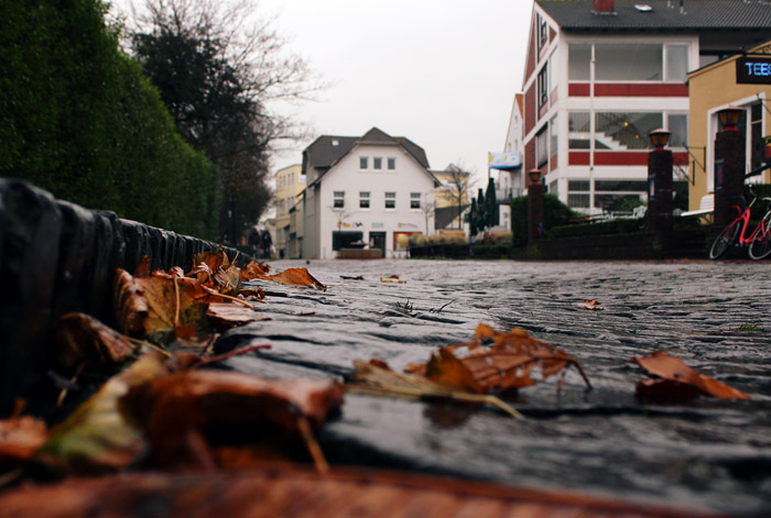 Friedrich-August-Stra&szlig;e im Herbst