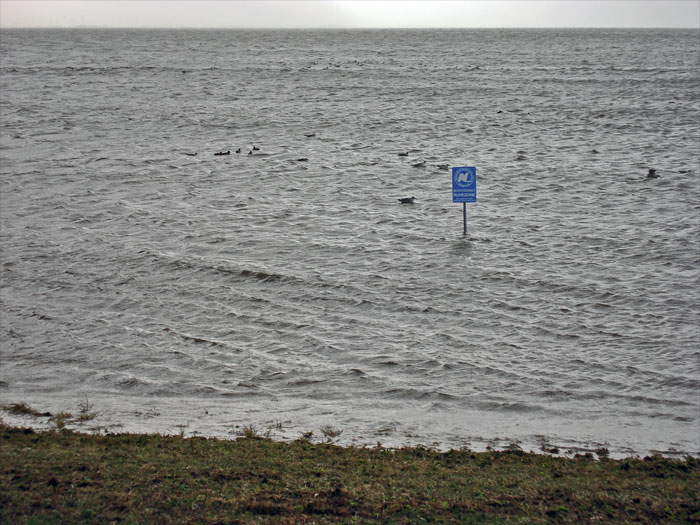 &Uuml;berflutetes Deichvorland