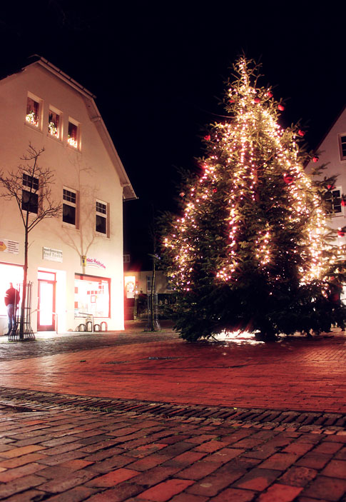 Festlich beleuchteter Weihnachtsbaum
