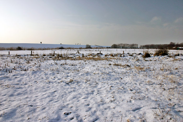 Verschneite Pferdeweiden