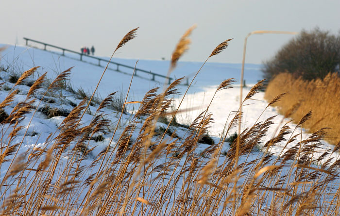 Dorfgrodendeich im Winter