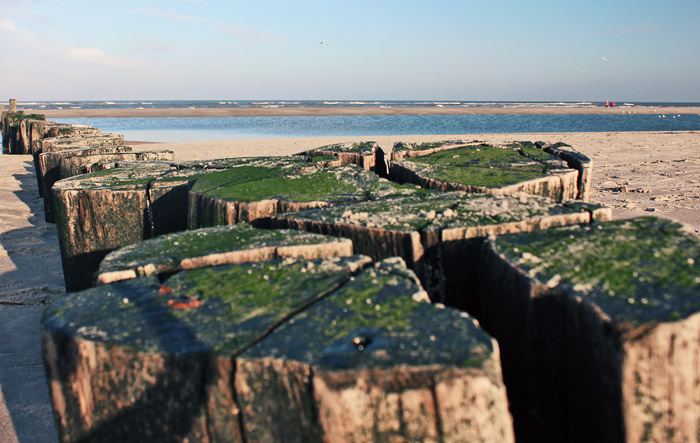 Buhne T am Nordoststrand