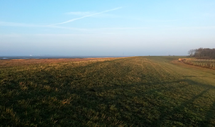 Morgenstimmung am Deich