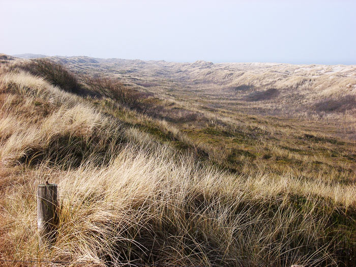 D&uuml;nental im Osten