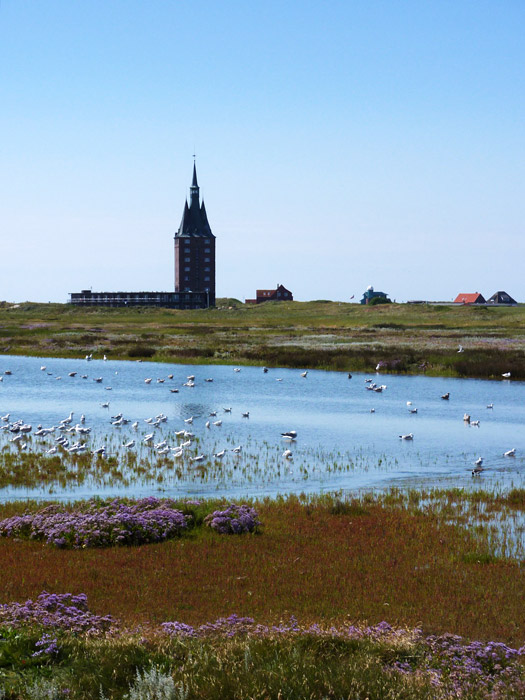 Westturm vom Zug aus gesehen