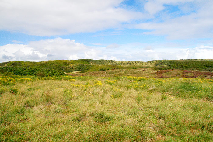 In den Braund&uuml;nen