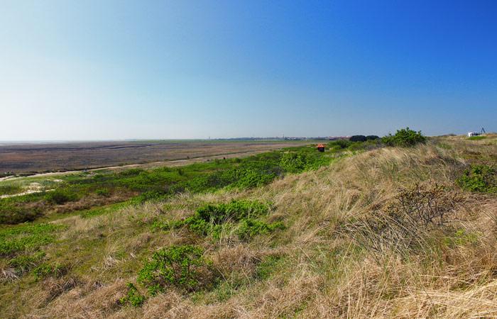 Ostd&uuml;nen im Fr&uuml;hling