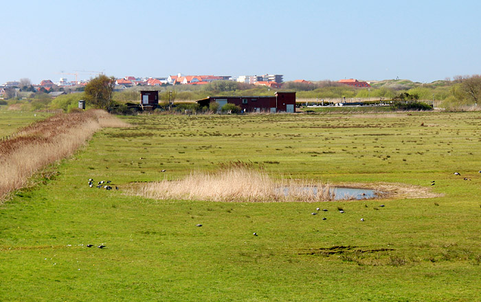 Kläranlage im Ostinnengroden