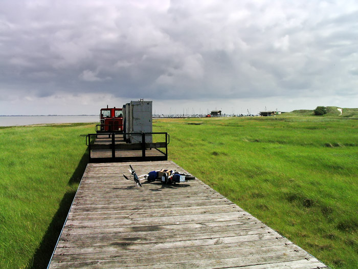 Zugfahrt durch die Salzwiesen