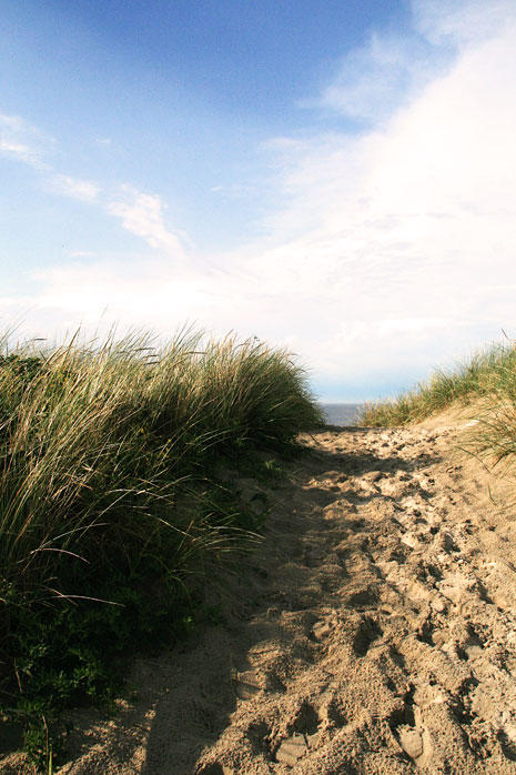 &Uuml;berwegung Bielefelder Heim