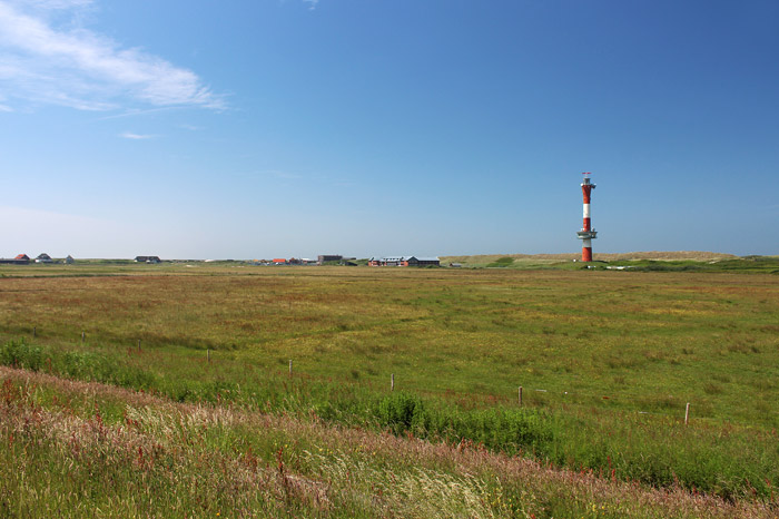 Weiden im Westinnengroden