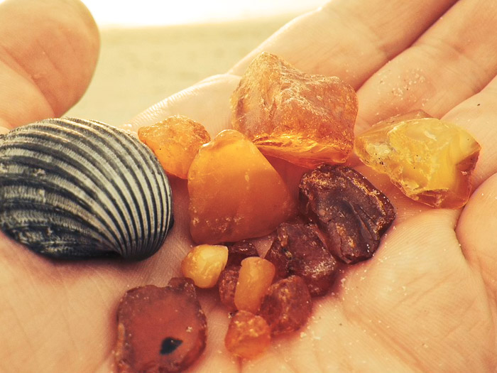 Gesammelte Bernsteine