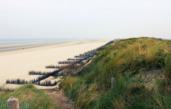 Buschzäune am Oststrand