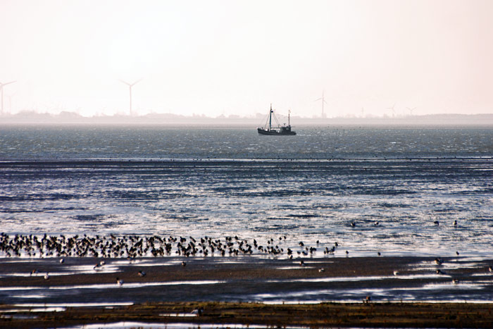 Fischkutter im Wattenmeer