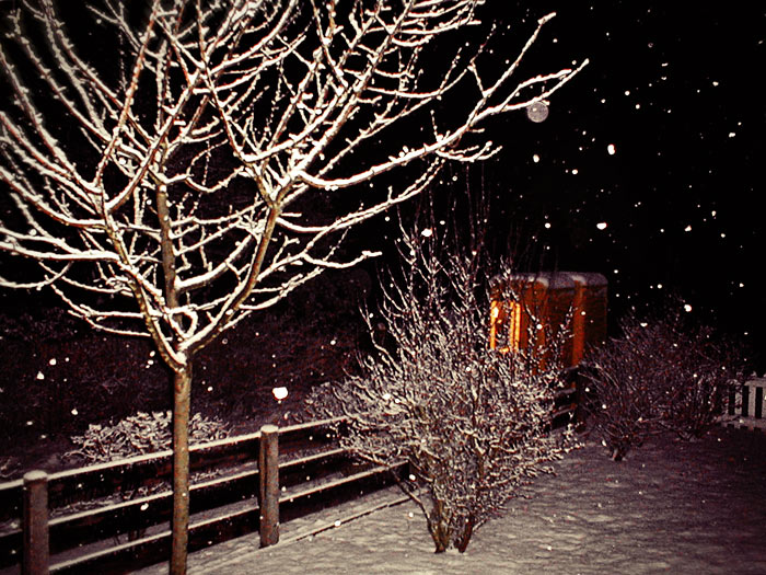 N&auml;chtlicher Schneefall