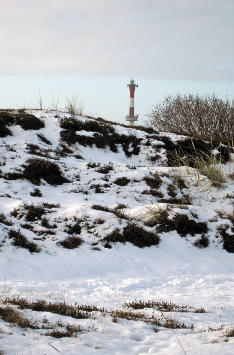 Verschneite Heided&uuml;nen