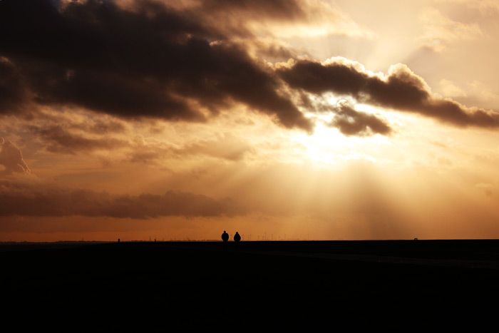 Ostgrodendeich im Gegenlicht