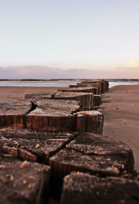 Pf&auml;hle der Buhne T