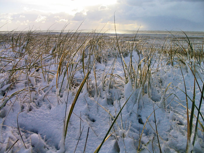 Schnee auf dem S&uuml;ddeich